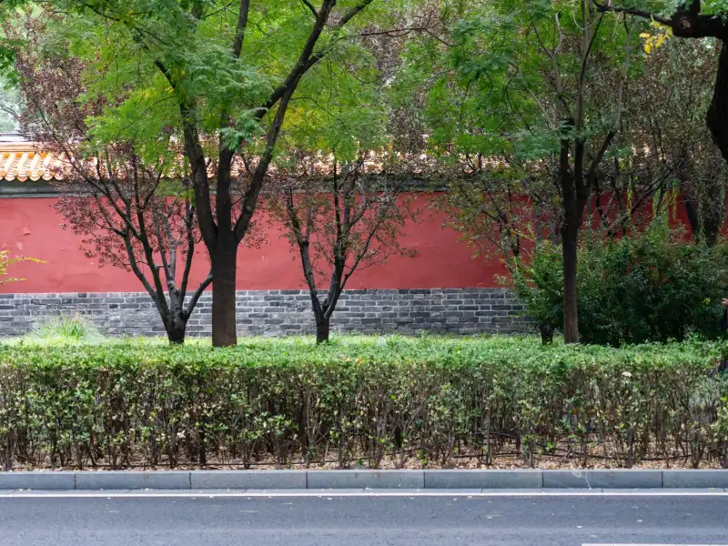 2024年家居百货收纳篮市场价格趋势与产品升级