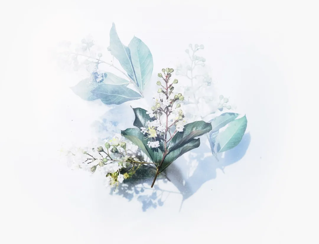 家用收纳篮与衣架组合选购指南：打造整洁衣柜的实用方案