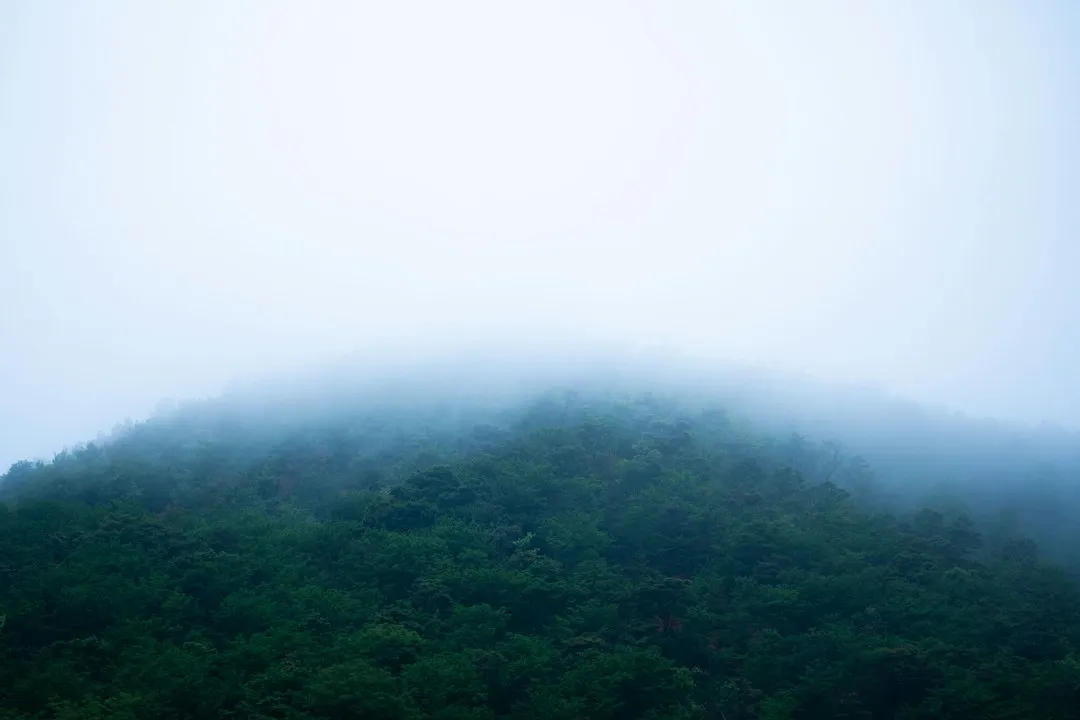 东阳柯其家居百货收纳篮系列技术优势与应用场景解析